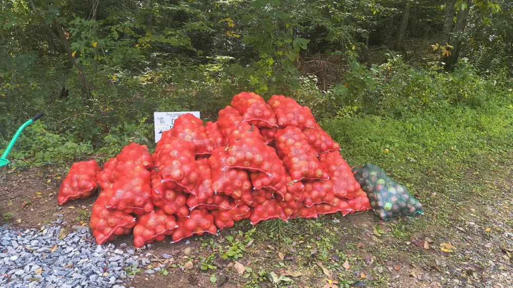 img_20250913_123518207_hdr