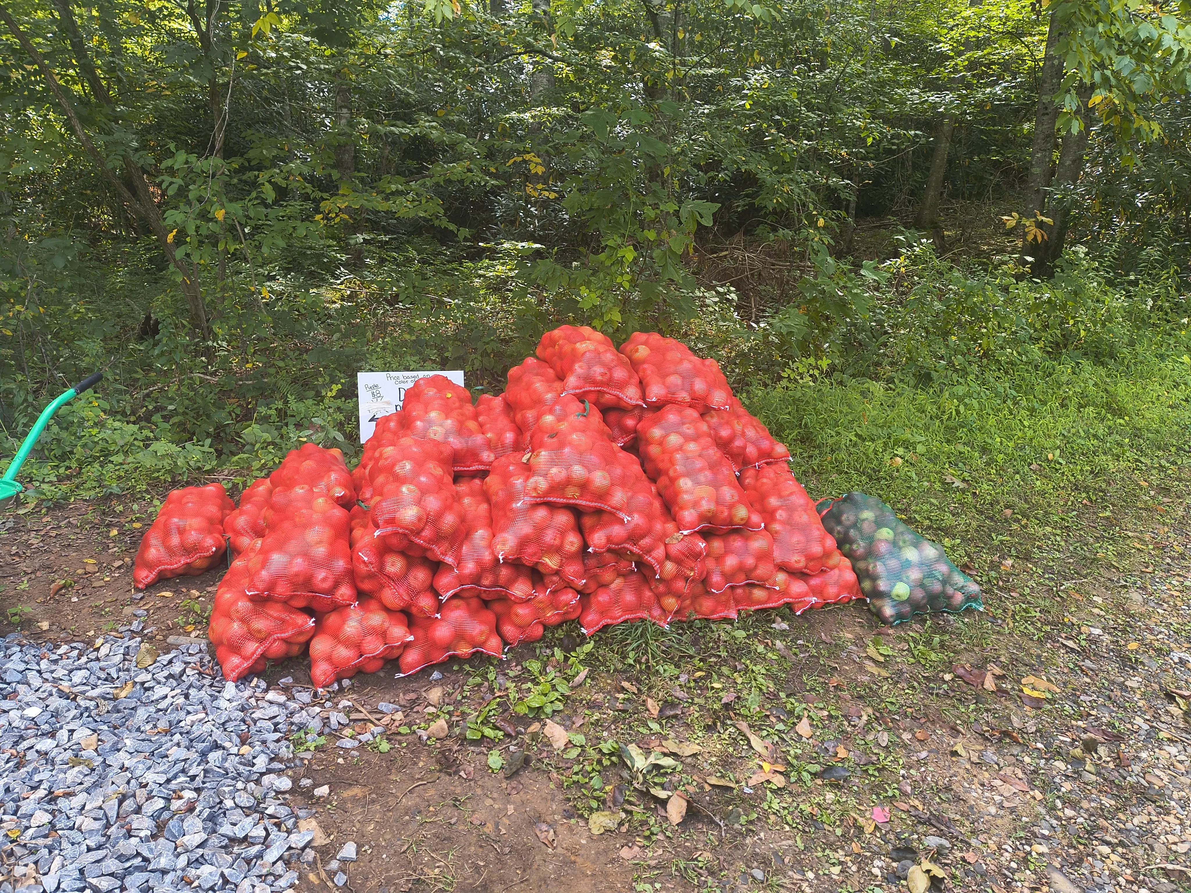 img_20250913_123518207_hdr