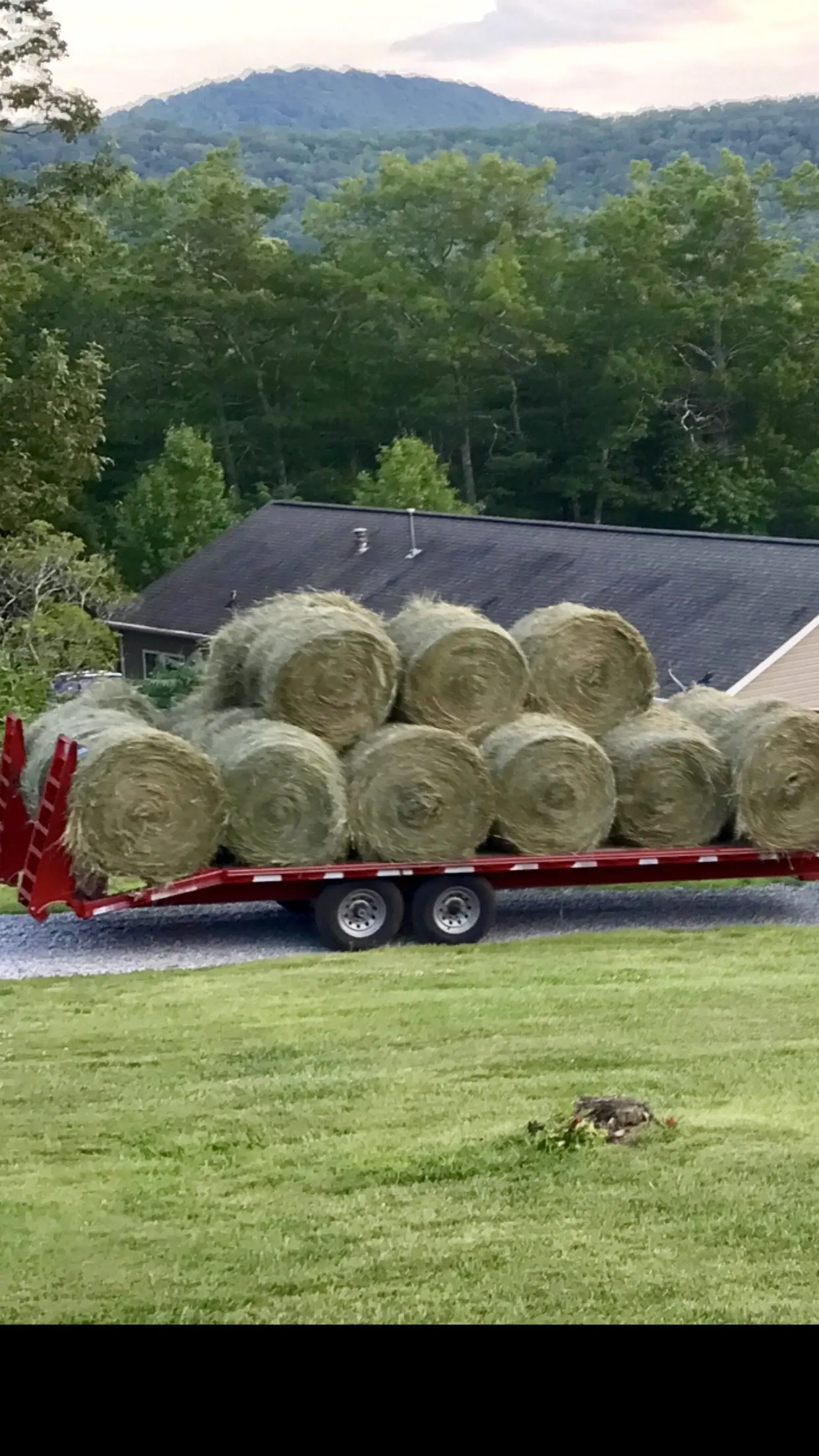 hay-5