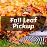 Leaf Pick-Up Set to Begin in Washington