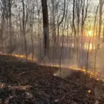 Public Talk to Explore Benefits of Prescribed Fire in Southern Indiana