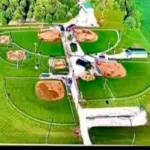Everly Montgomery Memorial Softball Tournament Returns to Odon July 12–13