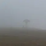 ‘Corn Fog’ Appears Across Southwest Indiana