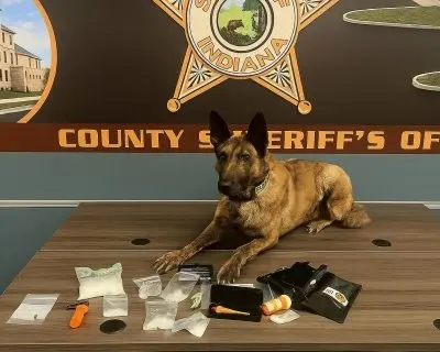 619335581_1214582390859222_7903882476518498060_n