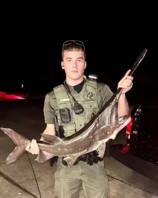 753c146d-545e-4292-9059-df424b52b14b