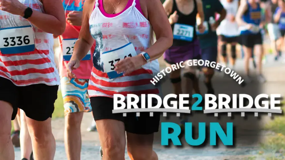 bridge-to-bridge-png-3