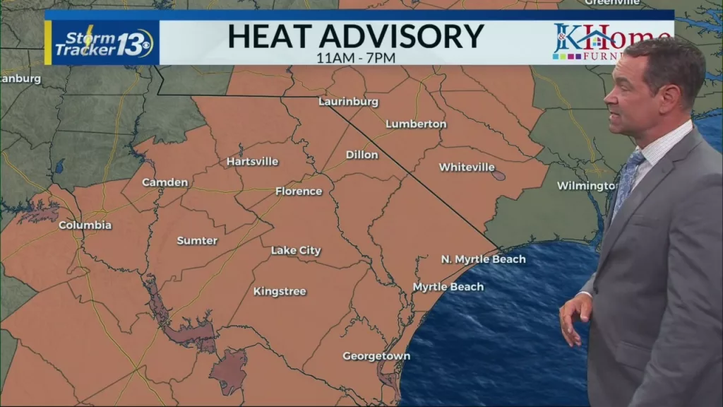 snapshot_8f2e84391134