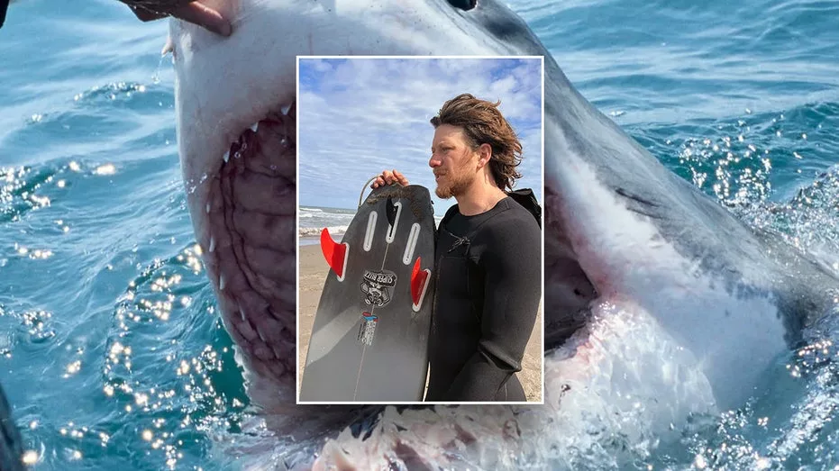 8f1d580d-thumb1325675