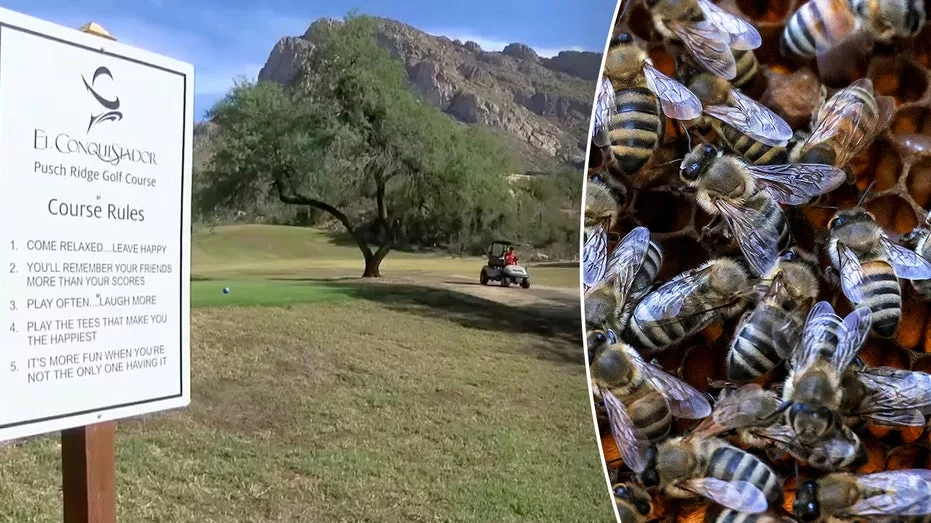 golf-course-bee-death-featured976328