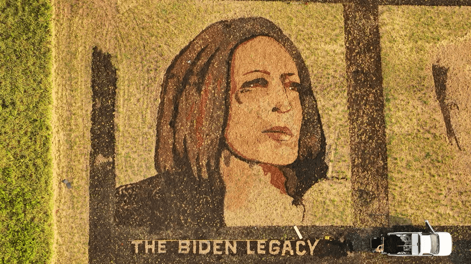 artist-pays-tribute-to-vice-president-kamala-harris547951