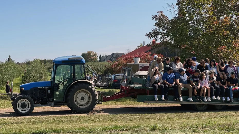 appleorchard771781
