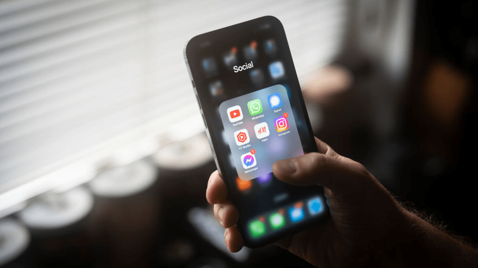 phonesocialmedia736078