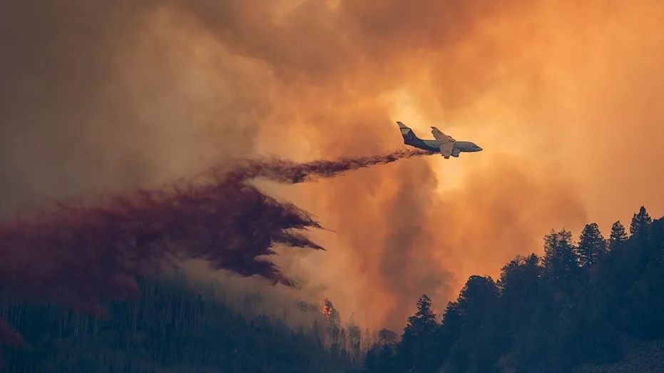 forest-fire-colorado773159