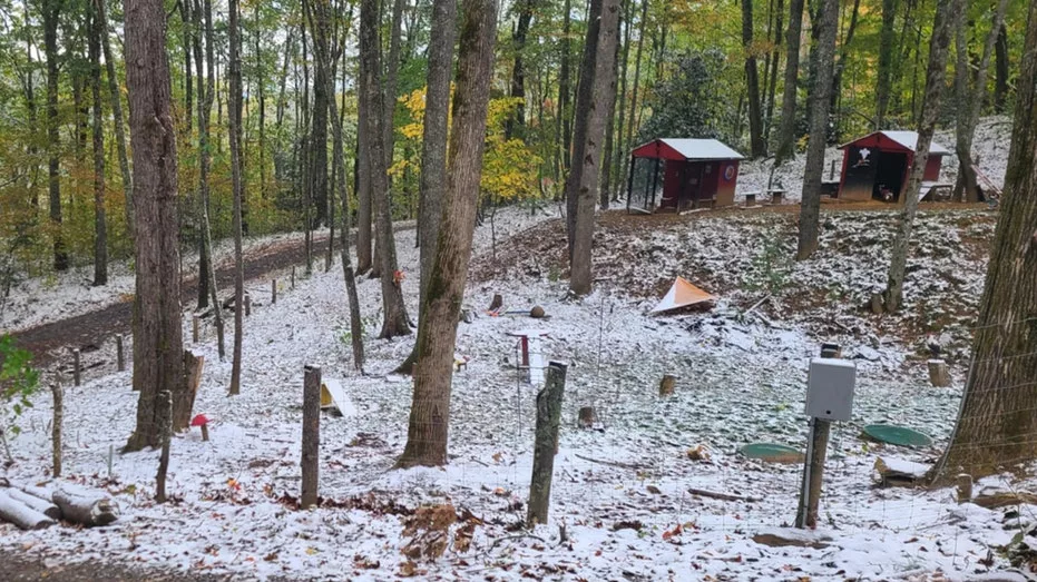 waynesville-nc-snow-4136950