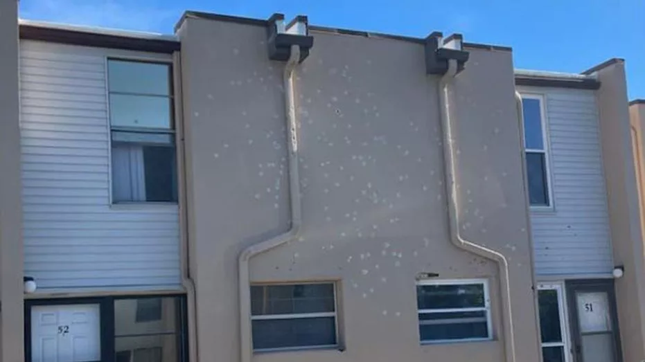 shotsfiredinflorida119807