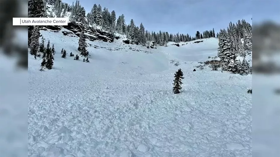 avalanche-photo-1284272
