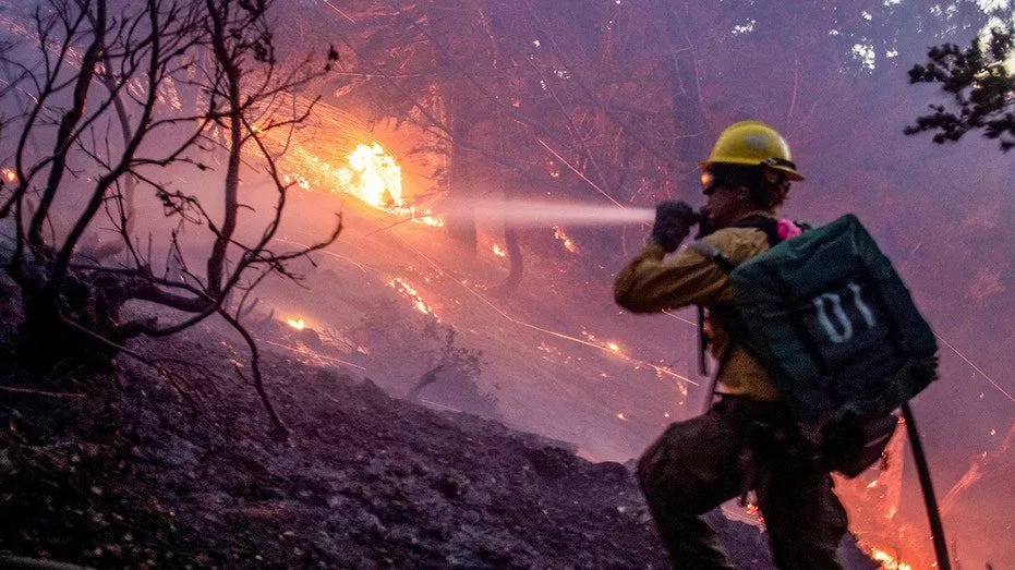 wildfires-los-angeles195844