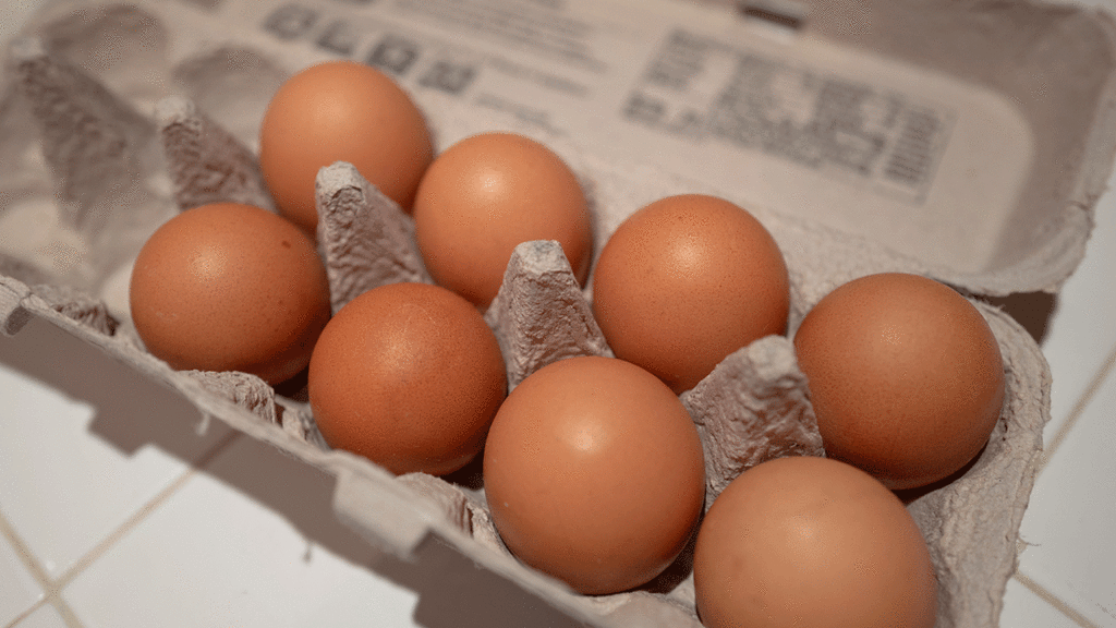 eggs-carton383124