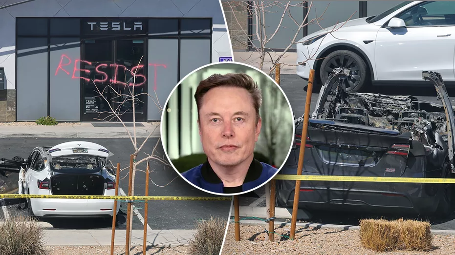 elon-musk-tesla-attacks120036