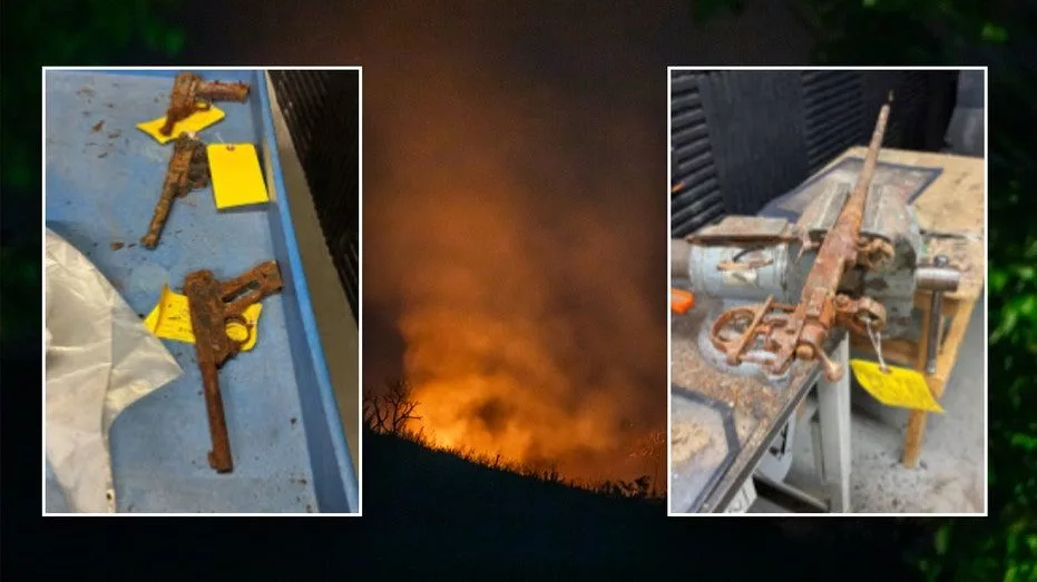 palisades-fires424389