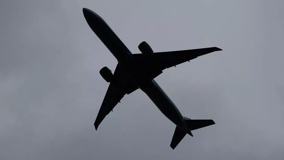 drone-airplanes-aircraft-collisions_01986306