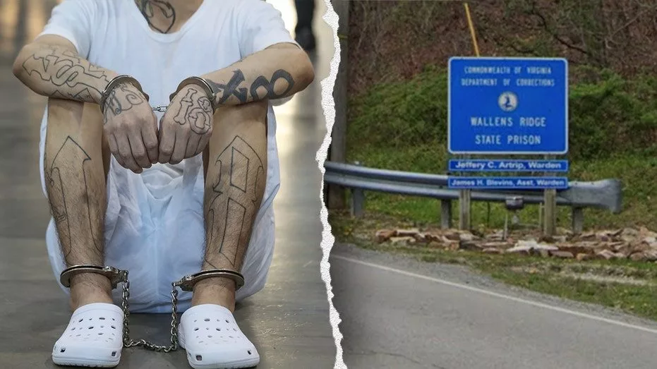ms-13-wallens-ridge971678