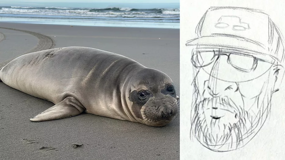oregon-seal-stabbing47321