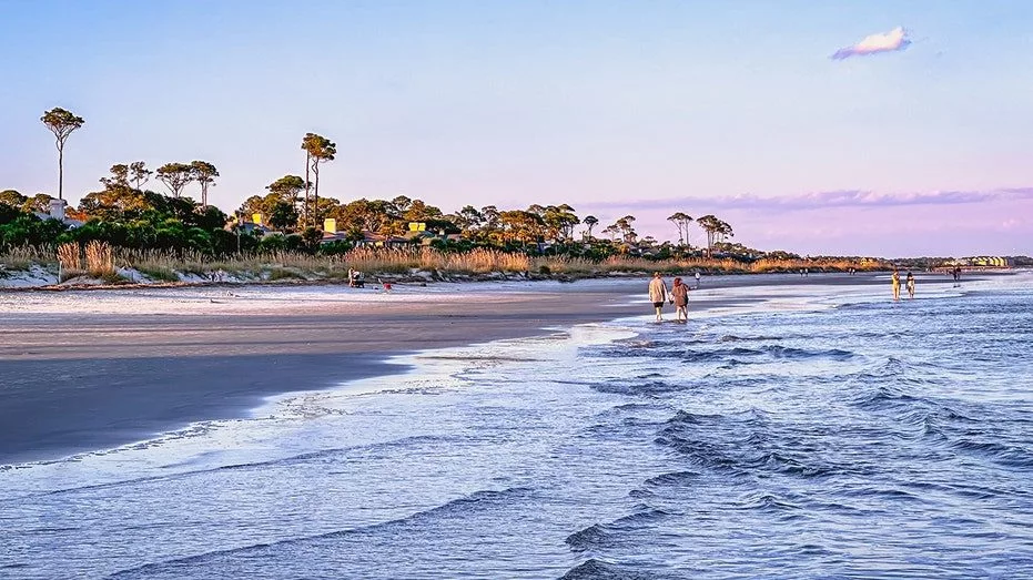 hilton-head-island-shark-attack_06546153