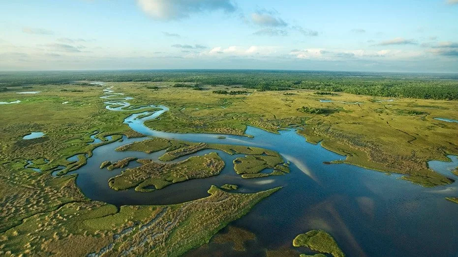 everglades-swampland369058