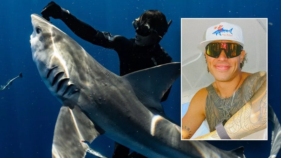 shark-tanner18517