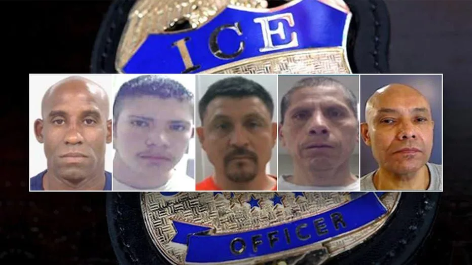 ice-arrests922444