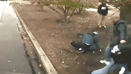 ali-gif2326944