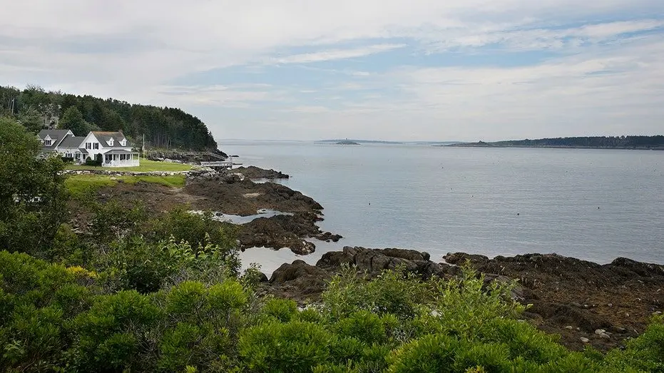 maine-shark-new-england-beach_01647209