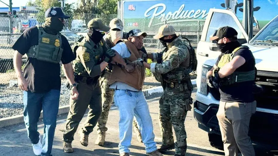 tire-slasher-migrant-arrests-2496948