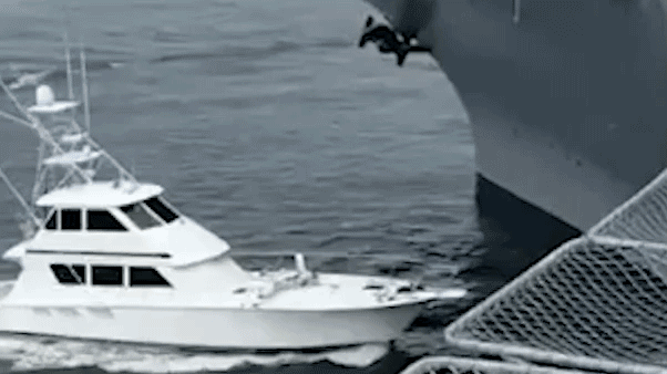 boat-bump-2658696