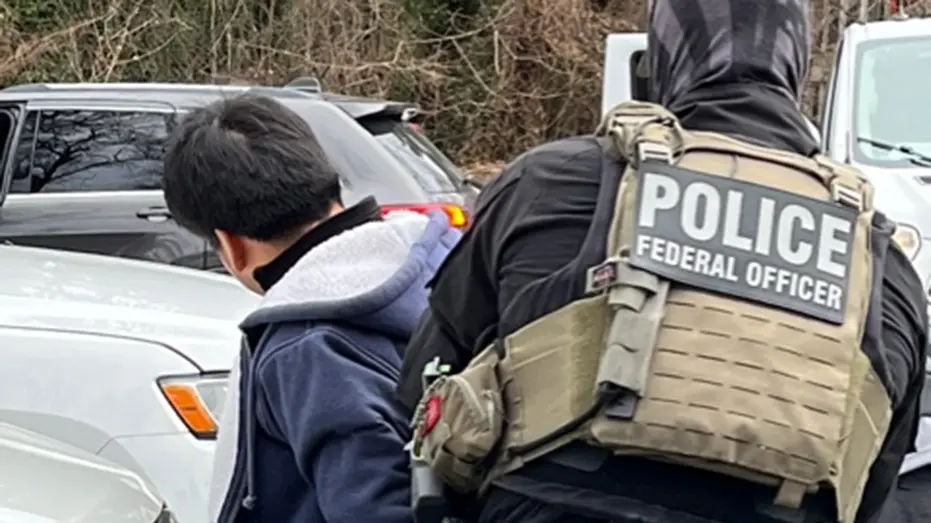 ice-arrest-virginia304401