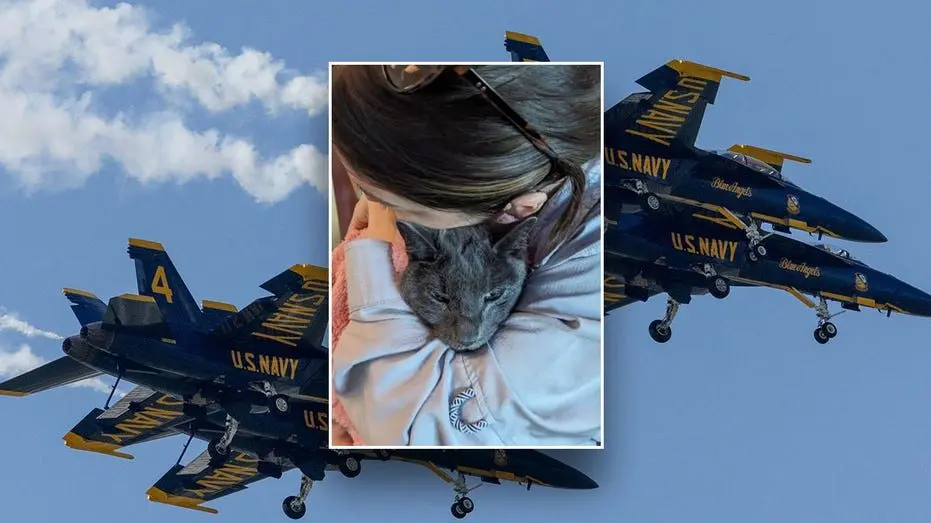 blue-angels-cat968782