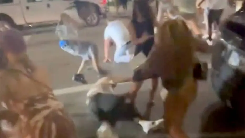cincinnati_brawl_4516001