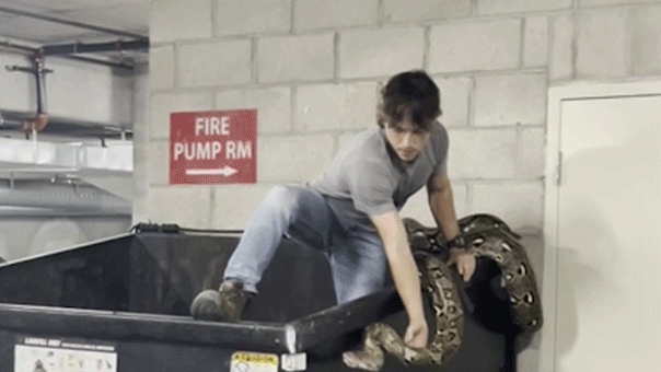python-joseph-hart-5115582