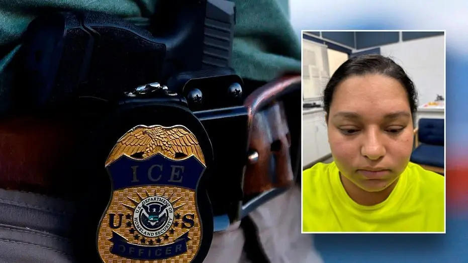 ice-illegal-immigrant-fox-news-001273267