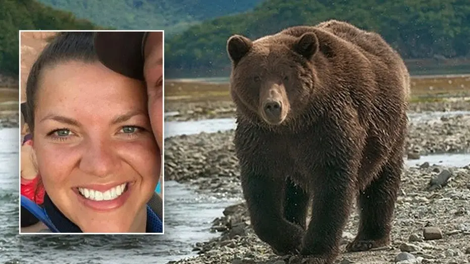 bear-attack-split-fox-news-002103975