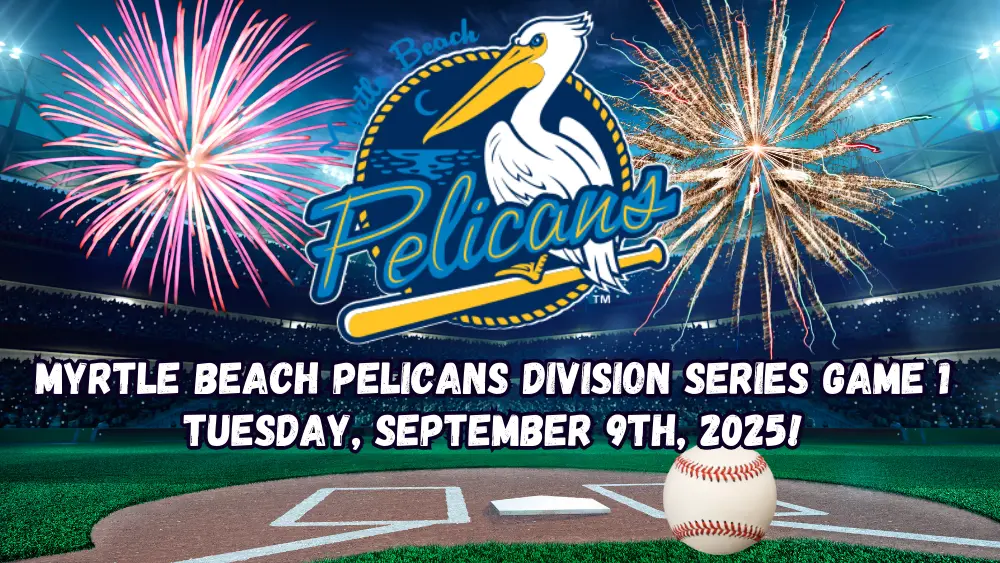 pelicans