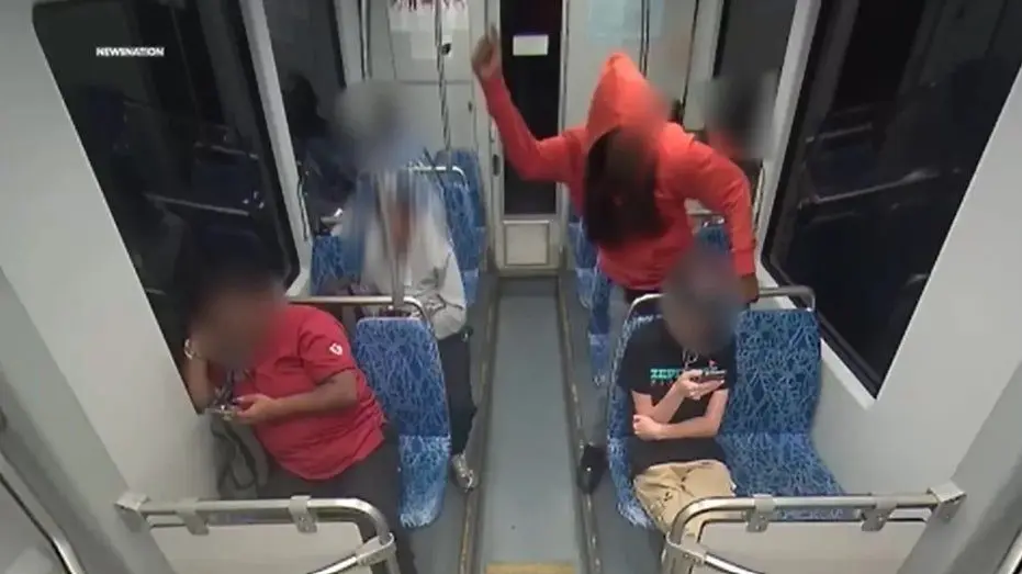 charlotte-stabbing-train-cats283114