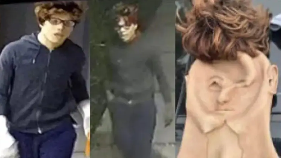 california-mask-robberies-suspect101900