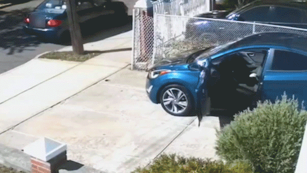 burglars-drive-away-in-car-fox-news978393