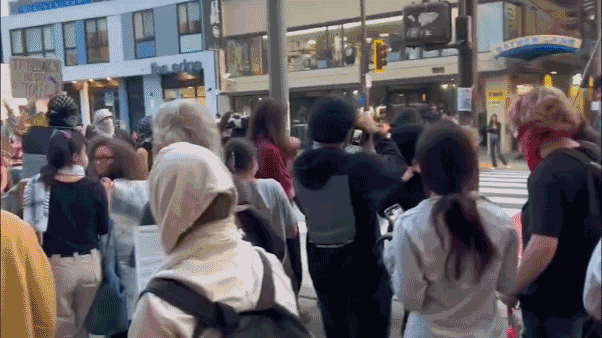 uc-berkeley_tpusa_protest_fight812862