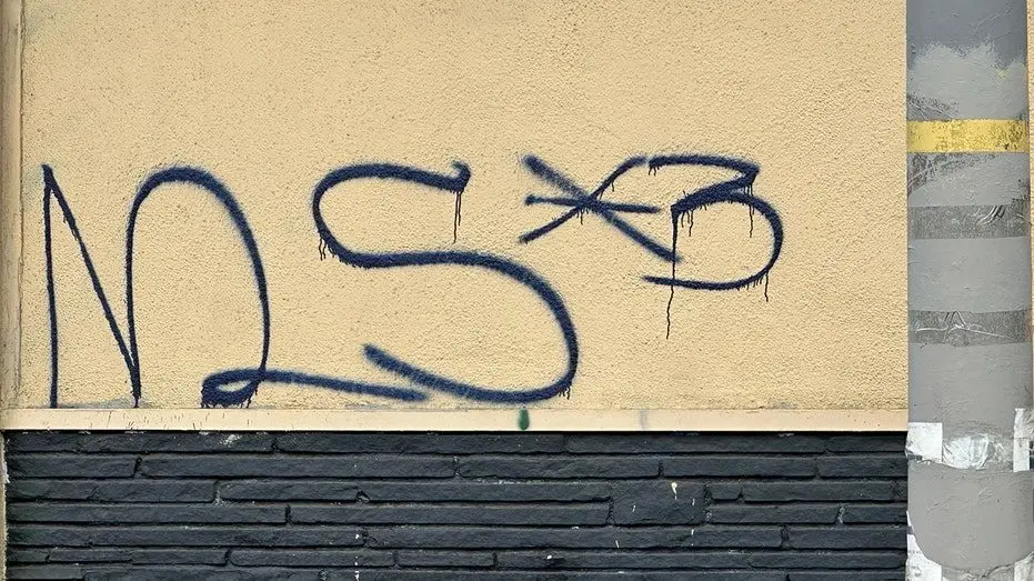 ms-13-tag507601