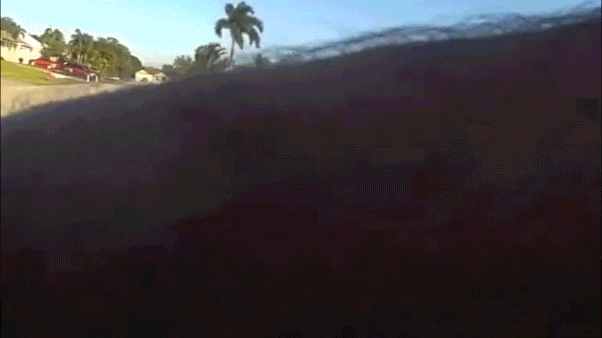 florida-teen-shovel-police-arrest-gif_01867209