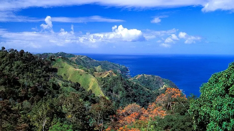 tobago-photo-1502415