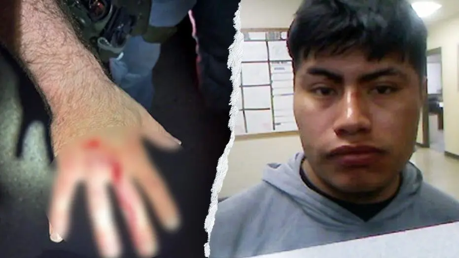 Illegal immigrant bites ICE officer in ‘gross attack’ while resisting arrest: DHS